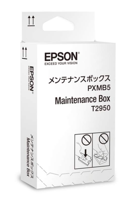 Original Epson C13T295000 / T2950 farblos