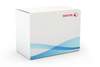 Original Xerox 008R13157 Tinte