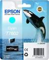 Original Epson C13T76024010 / T7602 Tinte cyan
