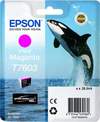 Original Epson C13T76034010 / T7603 Tinte magenta