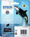 Original Epson C13T76074010 / T7607 Tinte grau