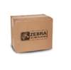 Original Zebra P1058930-012 Druckkopf